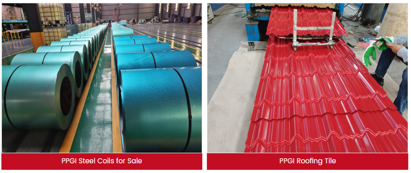 painted steel coils painted steel coils